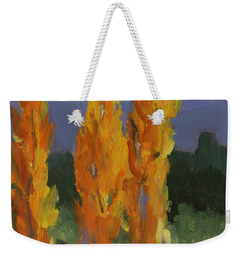 Rocky Mountains Weekender Tote Bag featuring the painting Walking the Wash In Sante Fe by Maria Hunt