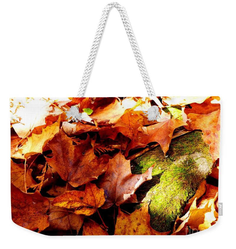 Season Weekender Tote Bag featuring the photograph Autumn in the forest by Cristina Stefan