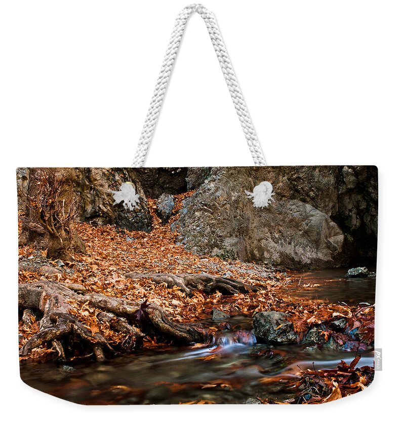 Autumn Weekender Tote Bag featuring the photograph Autumn landscape by Michalakis Ppalis