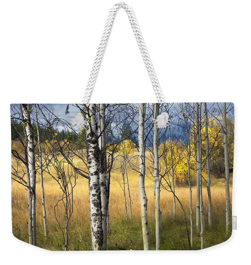 Autumn Weekender Tote Bag featuring the photograph Autumn Landscape by Theresa Tahara