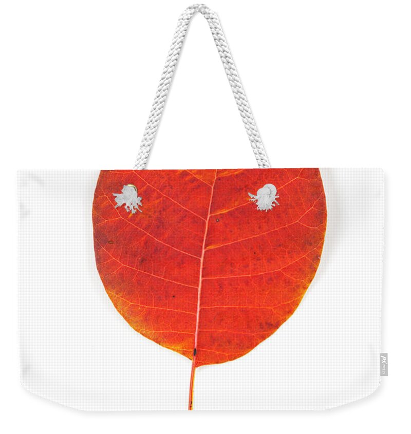 Orange Color Weekender Tote Bag featuring the photograph Autumn Leaves by Focusstock