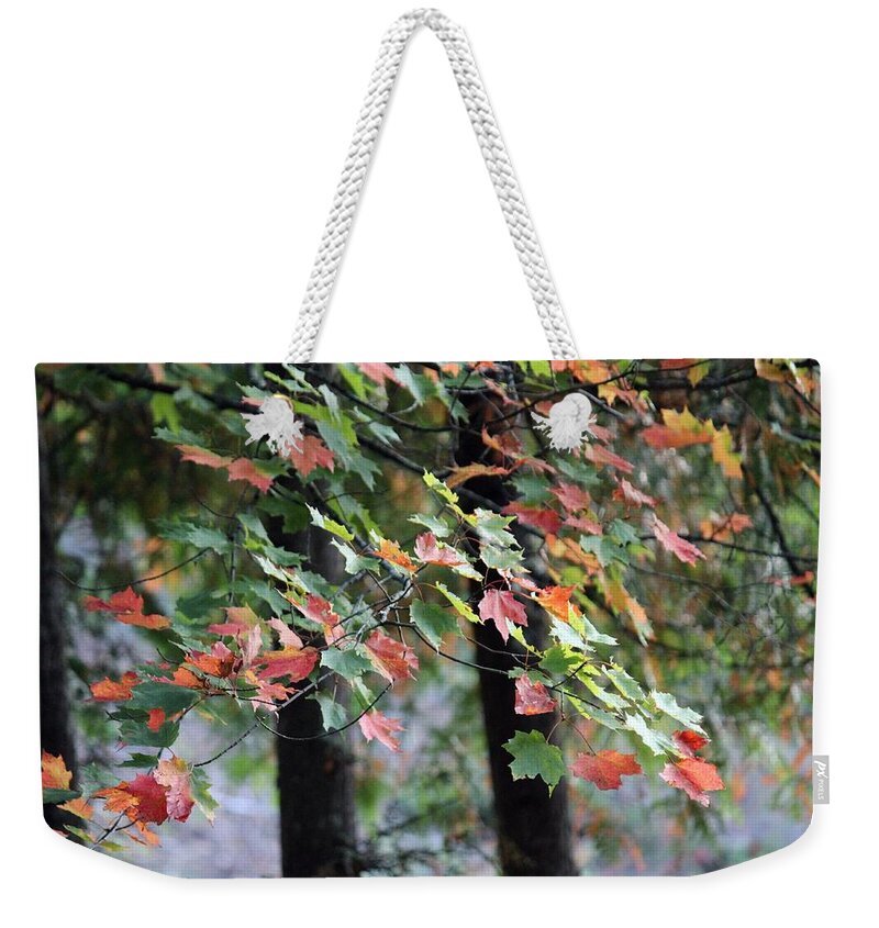 Leaves Weekender Tote Bag featuring the photograph Autumn Leaves by Jackson Pearson