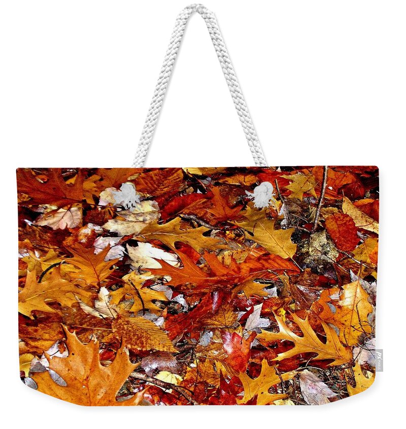 Autumn Weekender Tote Bag featuring the photograph Autumn Leaves on the Ground in New Hampshire - Bright Colors by Phyllis Meinke