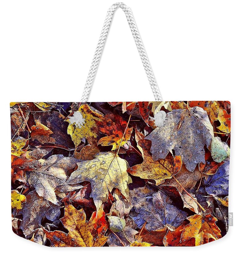 Autumn Weekender Tote Bag featuring the photograph Autumn Leaves with Frost by Phyllis Meinke