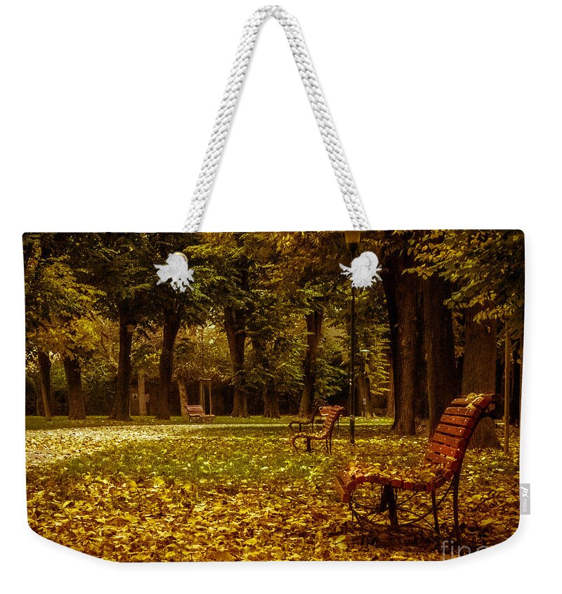 Autumn Park Weekender Tote Bag featuring the photograph Autumn Park by Prints of Italy