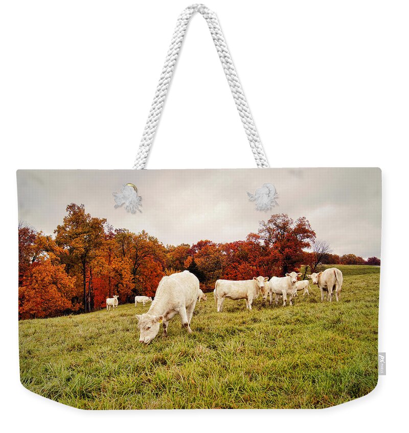 Fall Foliage Weekender Tote Bag featuring the photograph Autumn Pastures by Cricket Hackmann