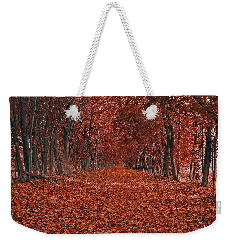 Autumn Weekender Tote Bag featuring the photograph Autumn by Raymond Salani III