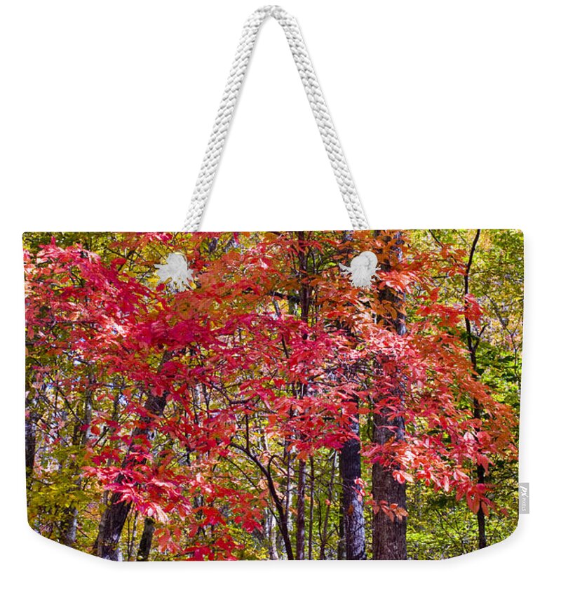Woods Weekender Tote Bag featuring the photograph Autumn Splender by Paul W Faust - Impressions of Light