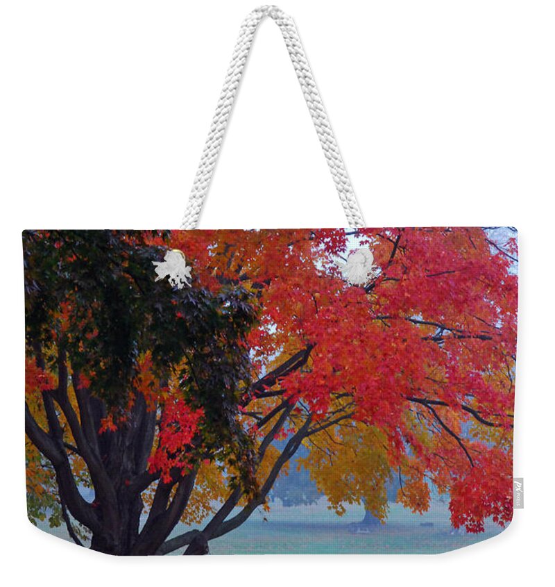 Autumn Splendor Weekender Tote Bag featuring the photograph Autumn Splendor by Lisa Phillips