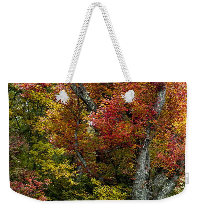 Autumn Splendor Weekender Tote Bag featuring the photograph Autumn Splendor by Terry DeLuco