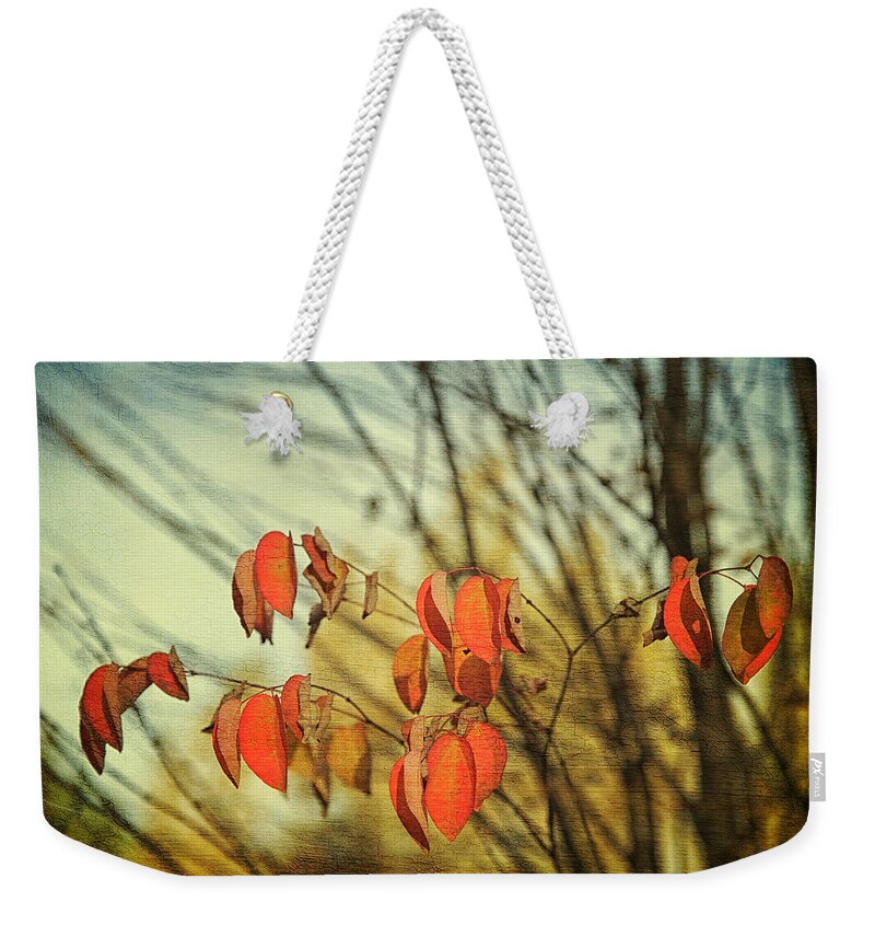 Autumn Weekender Tote Bag featuring the photograph Autumn by Theresa Tahara