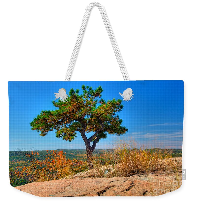 Foilage Weekender Tote Bag featuring the photograph Autumn Tree by Anthony Sacco