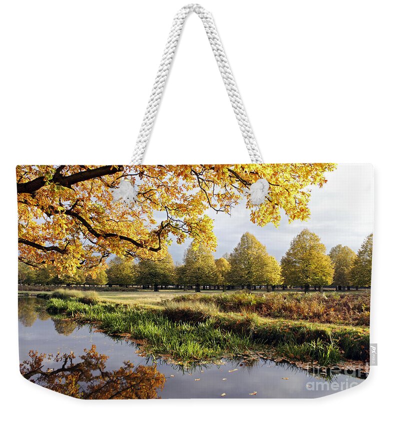 Autumn Trees Fall Autumnal Park Landscape Countryside English British Oak Golden River England Weekender Tote Bag featuring the photograph Autumn Trees by Julia Gavin