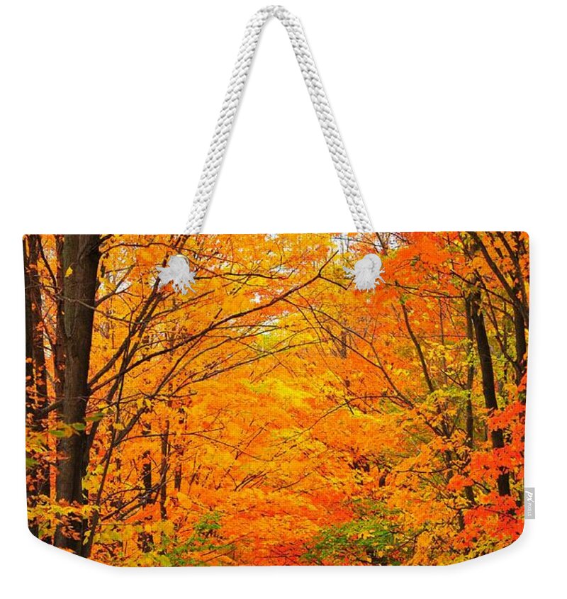 Autumn Weekender Tote Bag featuring the photograph Autumn Tunnel of Trees by Terri Gostola