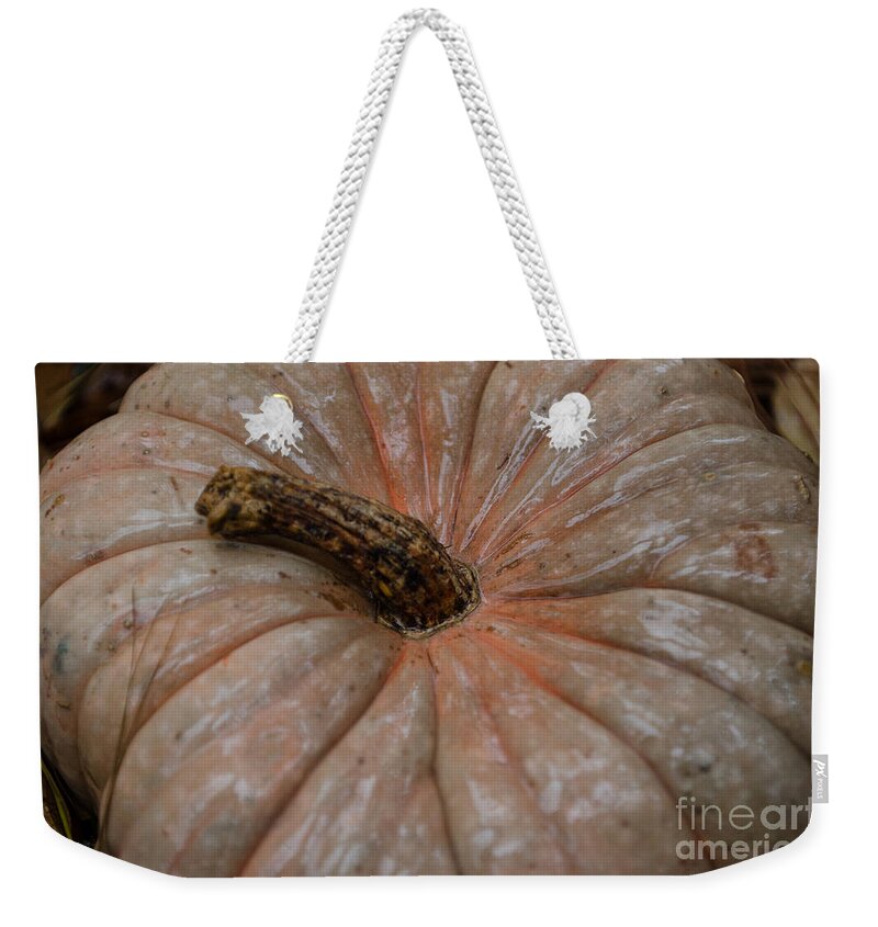 White Pumpkin Weekender Tote Bag featuring the photograph Autumn White Pumpkin by Dale Powell