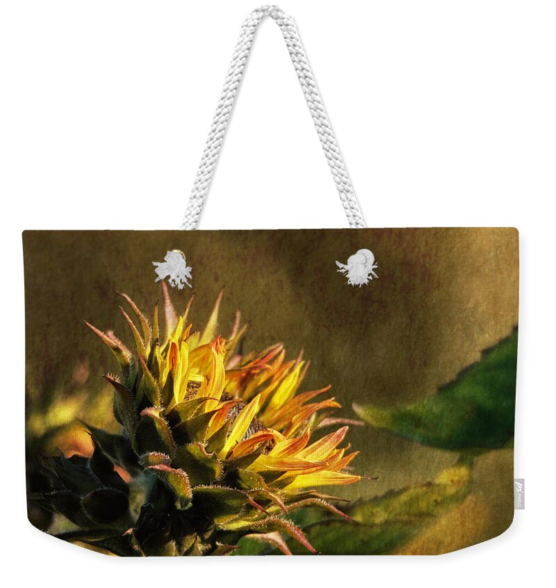 Sunflower Weekender Tote Bag featuring the photograph Autumns Touch by Sue Capuano