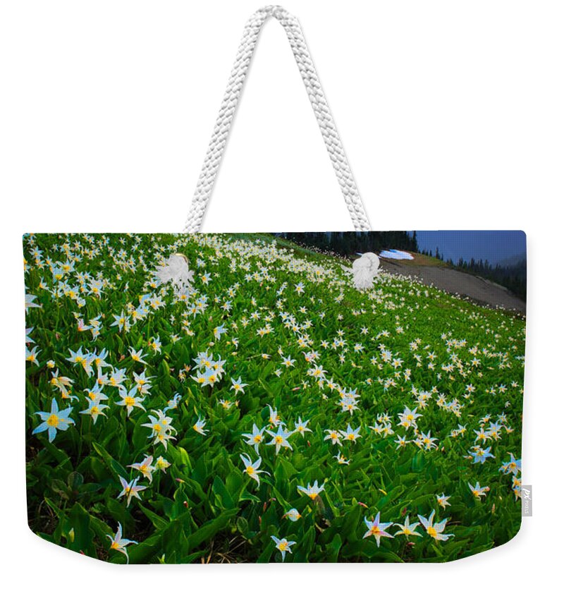 America Weekender Tote Bag featuring the photograph Avalanche Lily Field by Inge Johnsson