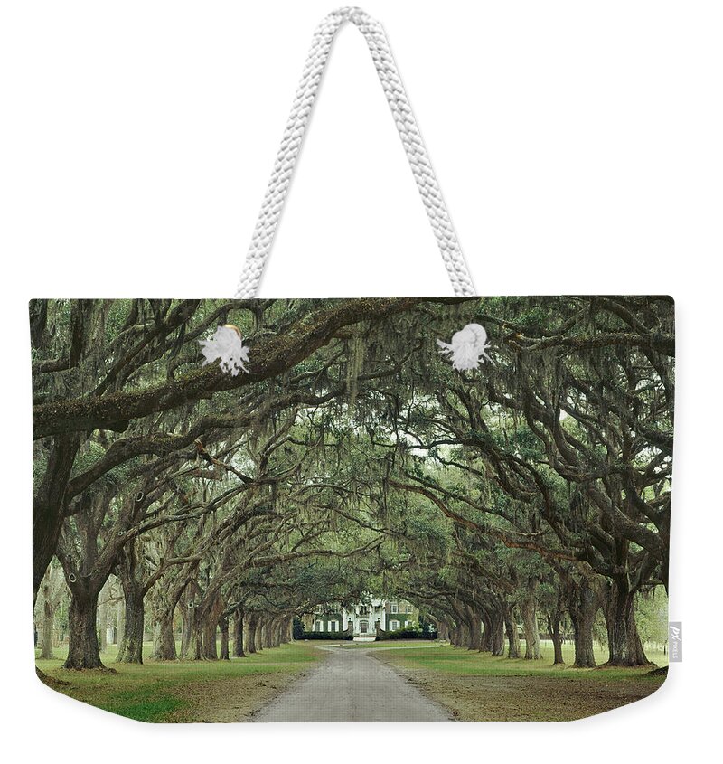Avenue Of The Oaks Weekender Tote Bag featuring the photograph 147706-Avenue of the Oaks by Ed Cooper Photography
