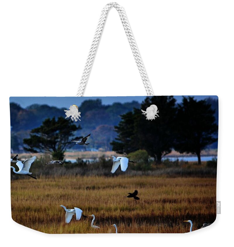 Birds Weekender Tote Bag featuring the photograph Aviary Convention by Robert McCubbin