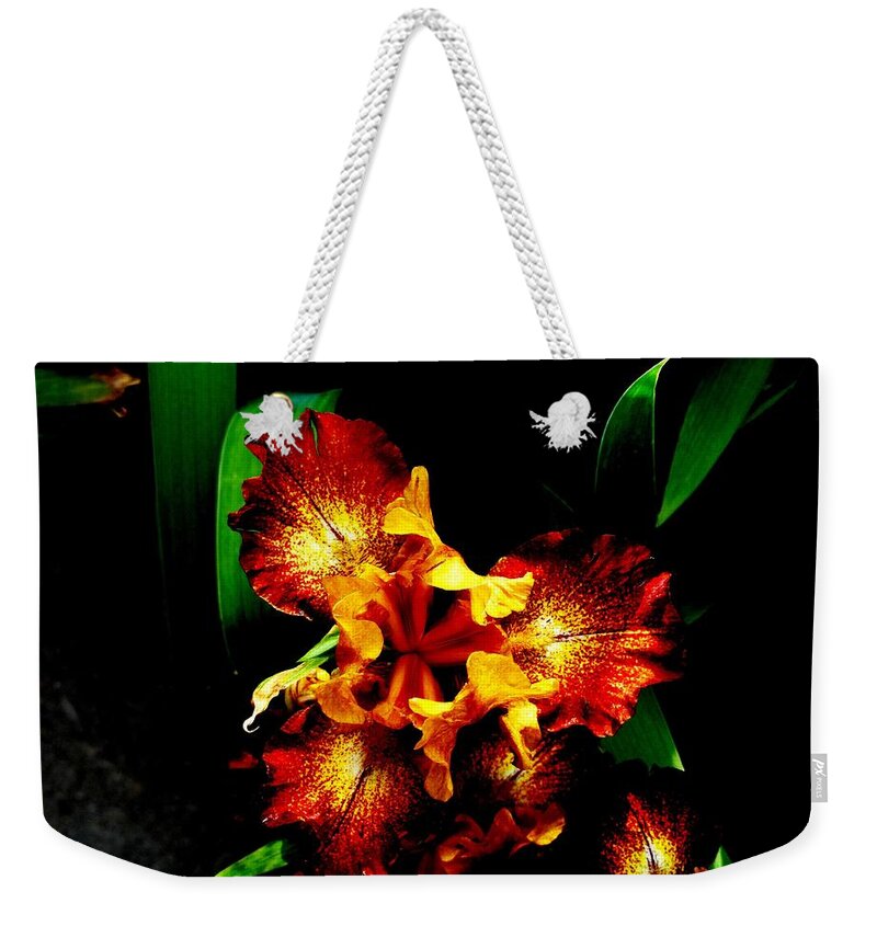 Awesome Iris Weekender Tote Bag featuring the photograph Awesome Iris by Mike Breau