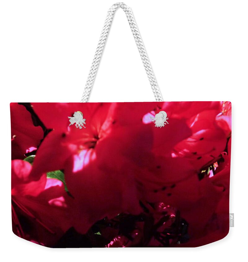 Azalea Weekender Tote Bag featuring the photograph Azalea Abstract by Robyn King