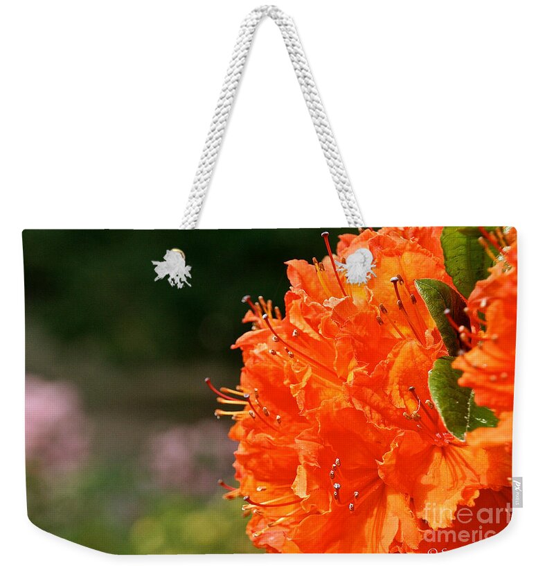 Flower Weekender Tote Bag featuring the photograph Azalea Profile by Susan Herber