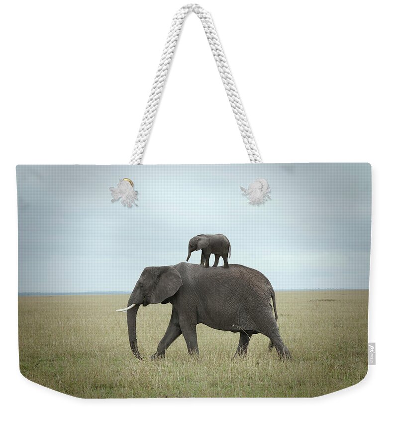 Kenya Weekender Tote Bag featuring the photograph Baby Elephant On The Back Of His Mother by Buena Vista Images