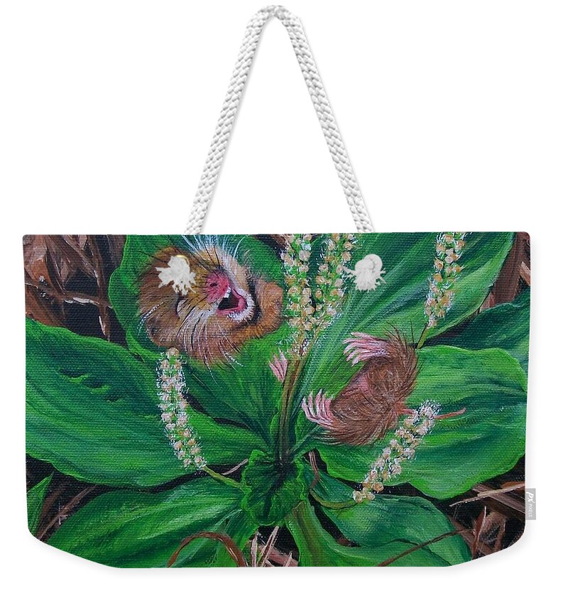  Kooky Weekender Tote Bag featuring the painting Baby  Molly by Sharon Duguay