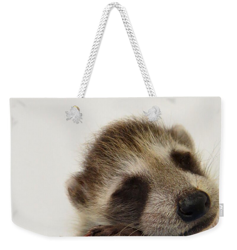 Raccoon Weekender Tote Bag featuring the photograph Baby N Butterfly by Art Dingo