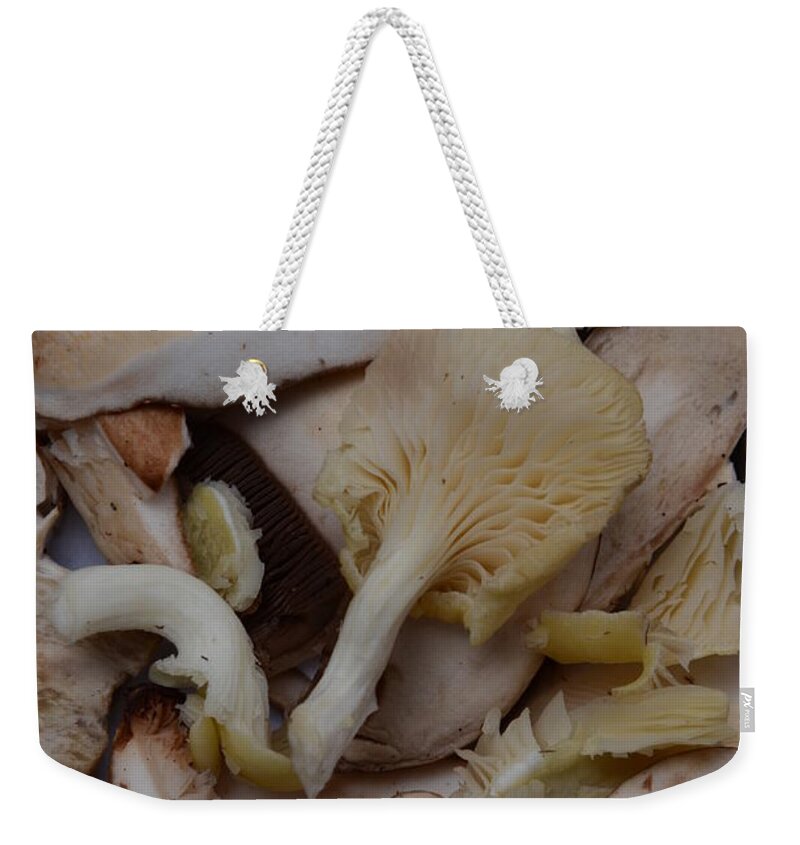 Baby Portobello & Oyster Mushrooms Weekender Tote Bag by Photo Researchers,  Inc. - Fine Art America