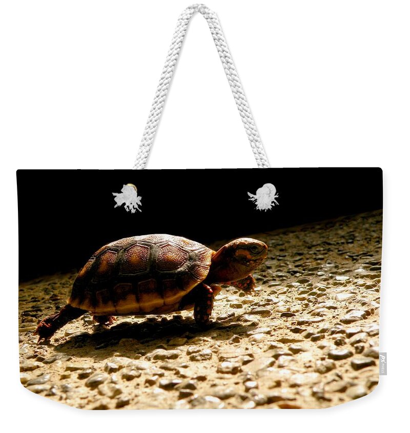 Turtle Weekender Tote Bag featuring the photograph Baby Steps by Micki Findlay