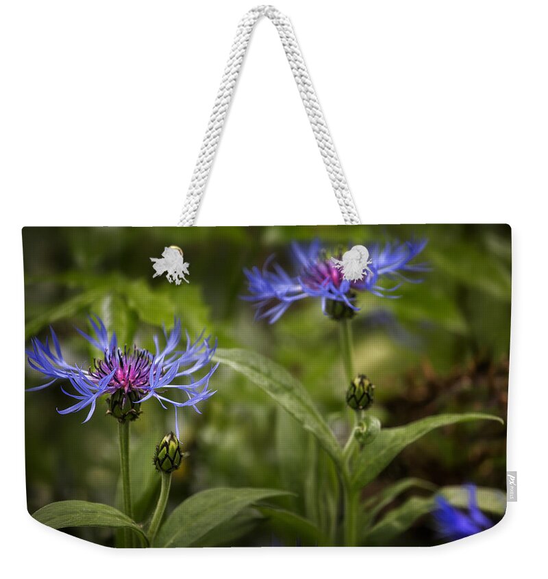 Bachelor's Button Weekender Tote Bag featuring the photograph Bachelor Buttons - Flowers by Belinda Greb