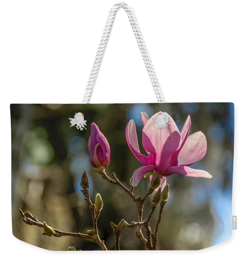 Backlit Weekender Tote Bag featuring the photograph Background Magic by Penny Lisowski