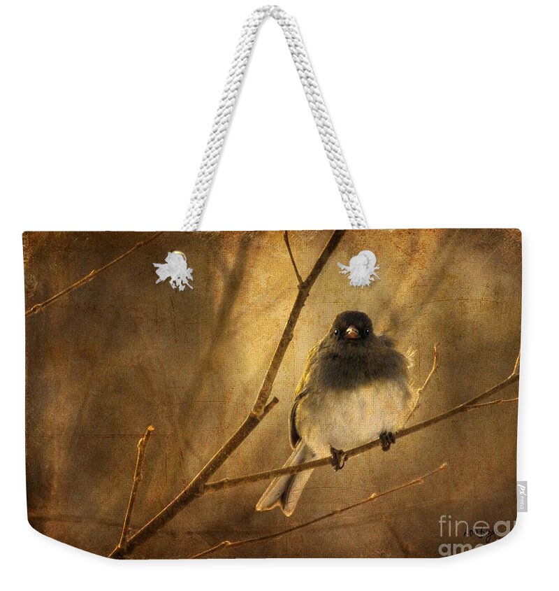 Bird Weekender Tote Bag featuring the photograph Backlit Birdie Being Buffeted by Lois Bryan