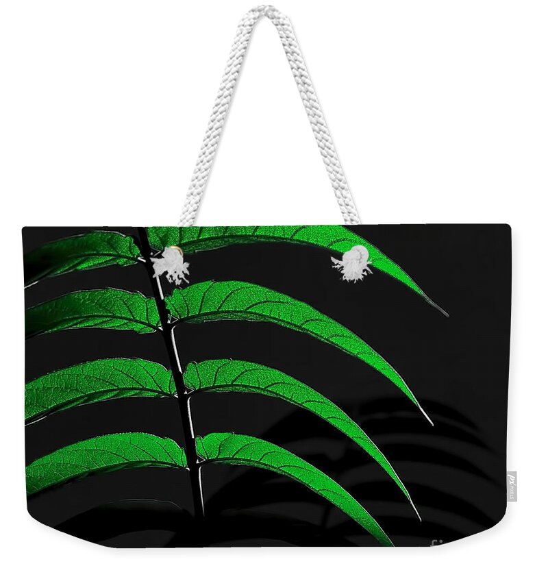 Digital Color Photo Weekender Tote Bag featuring the digital art Backyard Abstract by Tim Richards
