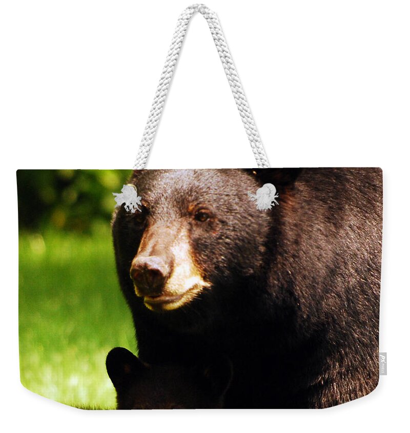 Bear Weekender Tote Bag featuring the photograph Backyard Bears by Lori Tambakis