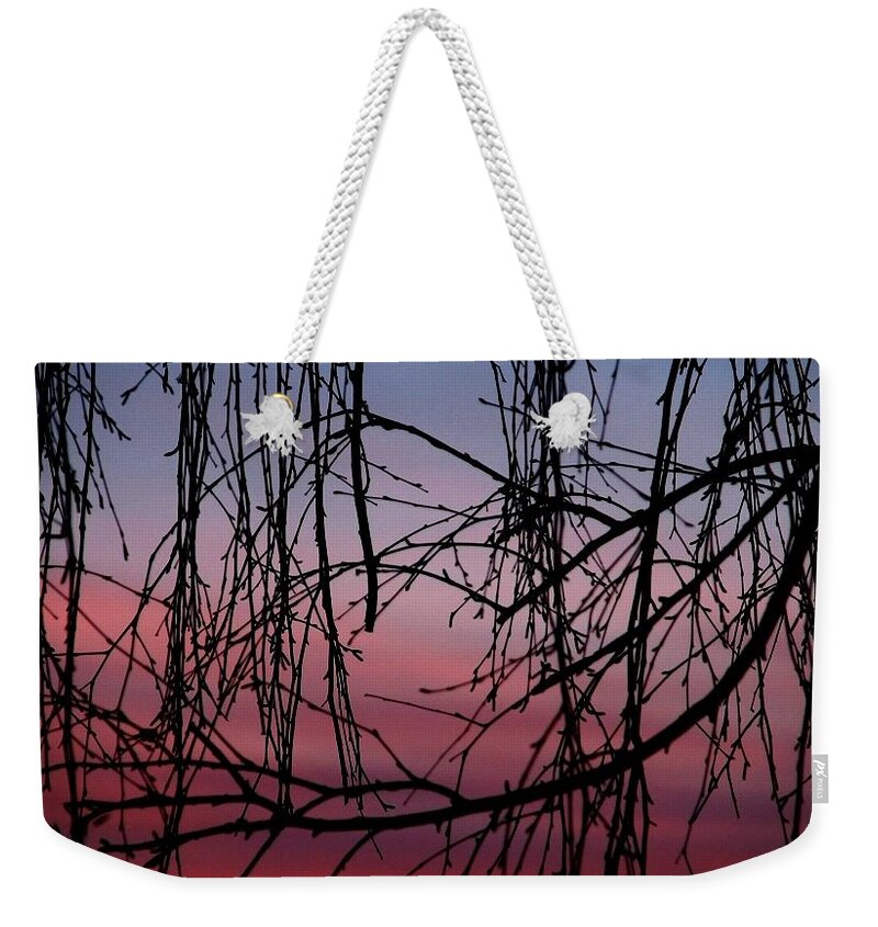 Oregon Weekender Tote Bag featuring the photograph Backyard Sunset by Chris Dunn