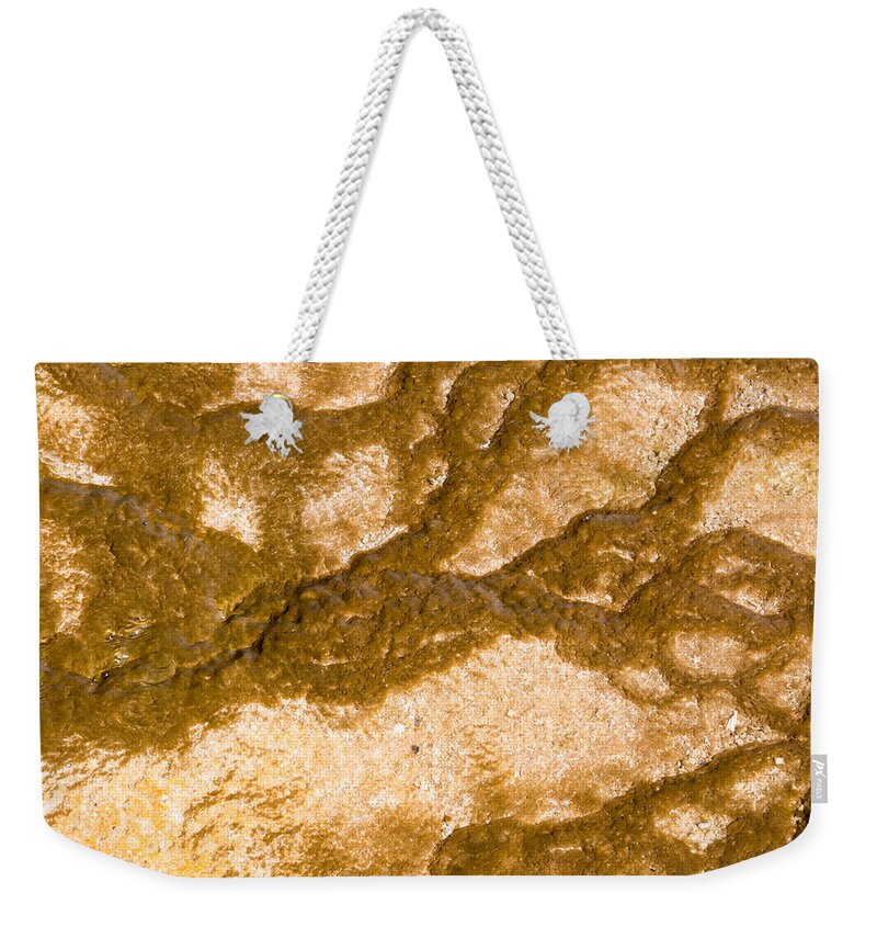 Thermophile Weekender Tote Bag featuring the photograph Bacterial Art 2 by Nicholas Blackwell