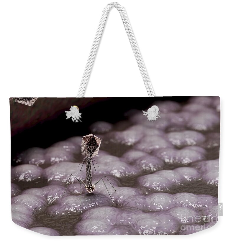 Infection Weekender Tote Bag featuring the photograph Bacteriophages by Science Picture Co