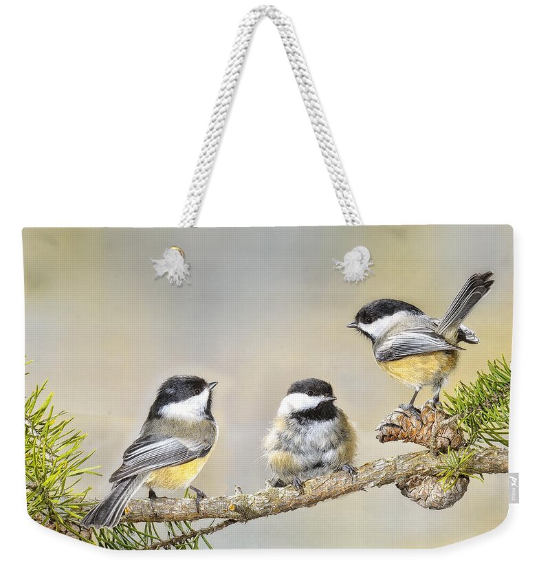 3 Chickadees Weekender Tote Bag featuring the photograph Bad Hair Day by Peg Runyan