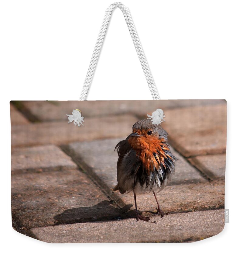 Bird Weekender Tote Bag featuring the photograph Bad Hair Day by Shirley Mitchell