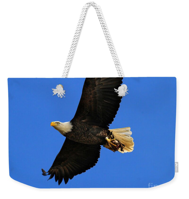 Eagle Weekender Tote Bag featuring the photograph Bald Eagle in Flight by Roger Becker