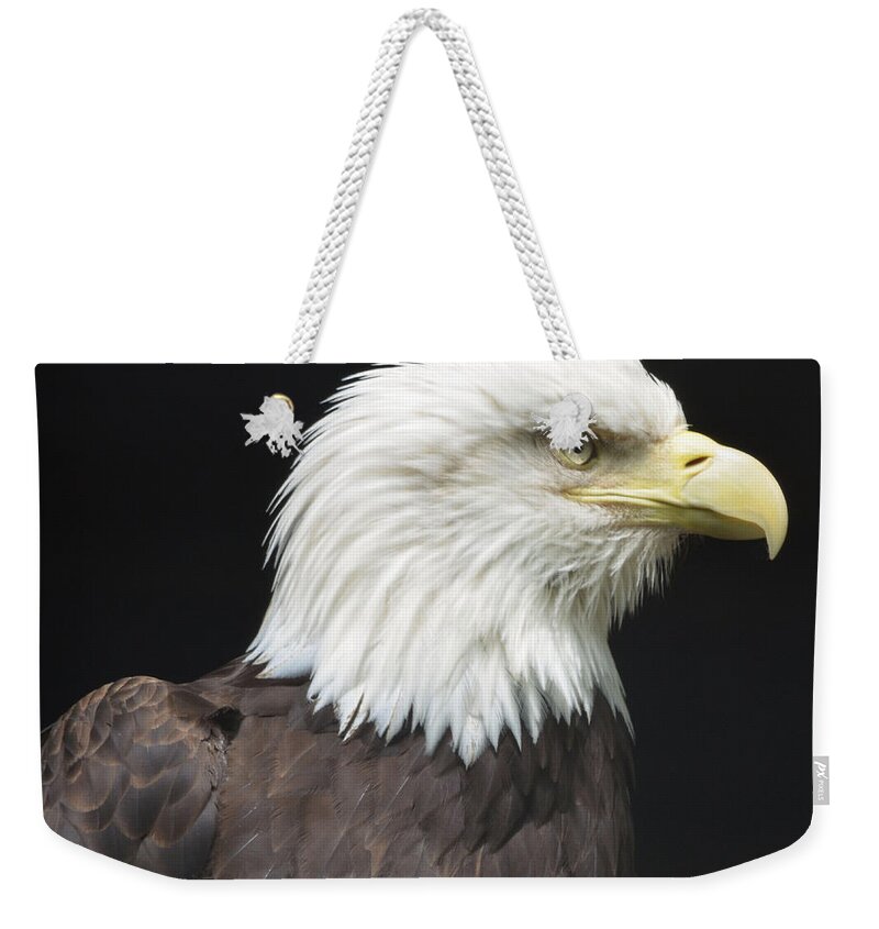 Eagle Weekender Tote Bag featuring the photograph Bald Eagle Profile 2 by Richard Bryce and Family