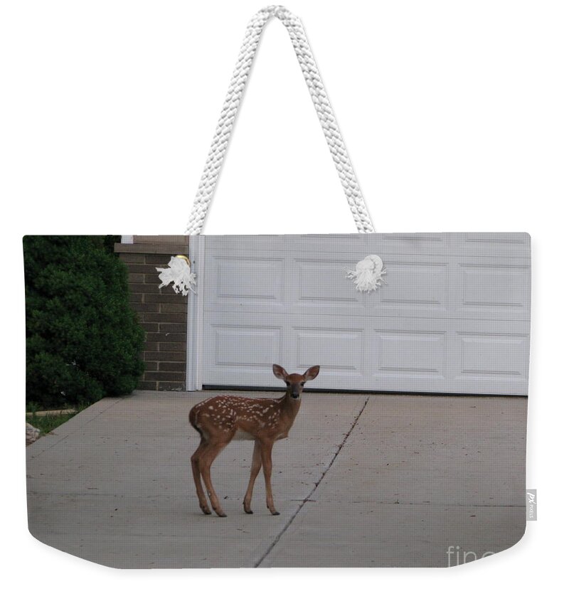 Deer Weekender Tote Bag featuring the photograph Bambi by Michael Krek