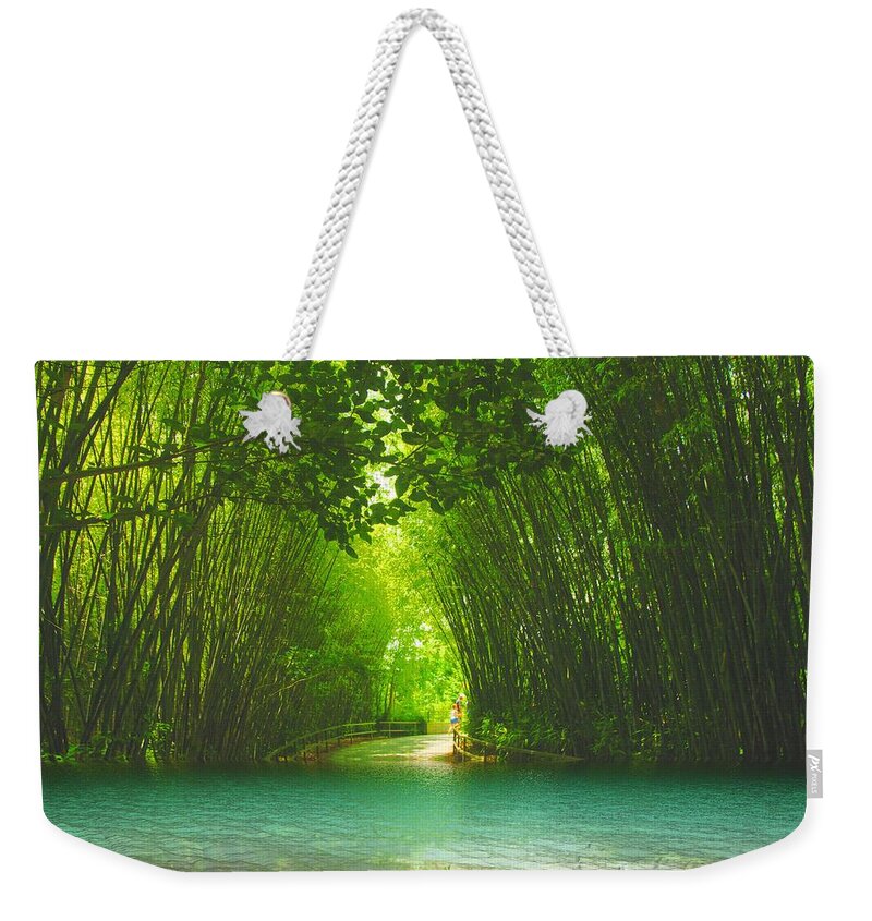 Blue Lagoon Weekender Tote Bag featuring the photograph bamboo path to Blue Lagoon by Dennis Baswell