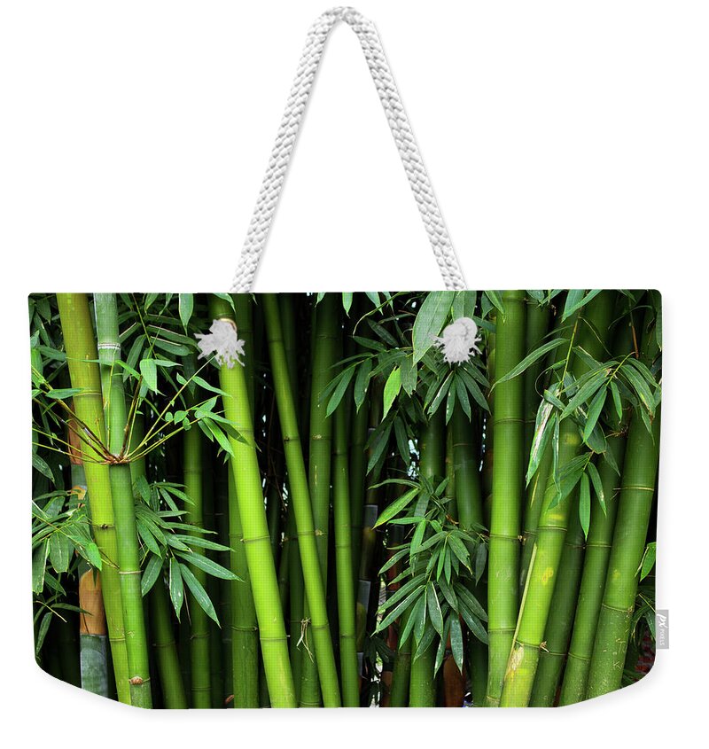 Bamboo Weekender Tote Bag featuring the photograph Bamboos by Simonlong