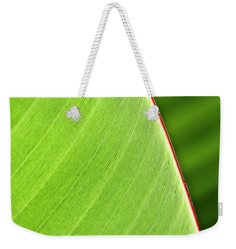 Leaf Weekender Tote Bag featuring the photograph Banana Leaf by Heiko Koehrer-Wagner