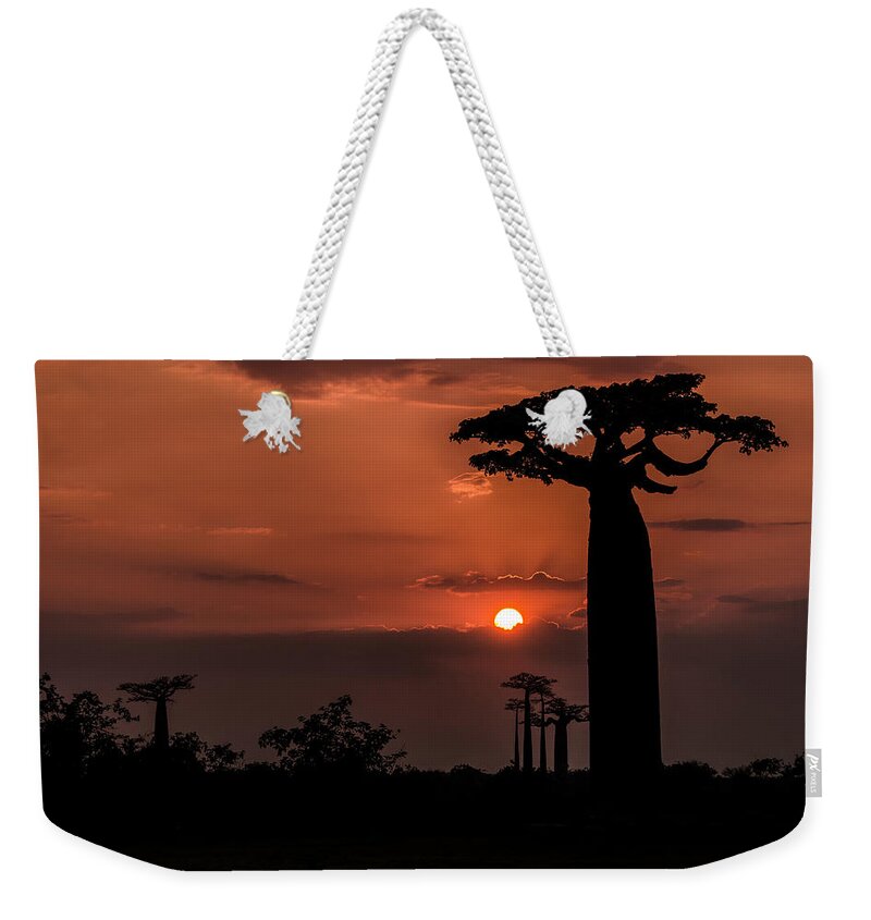 Baobab Weekender Tote Bag featuring the photograph Baobab Sunrise by Linda Villers