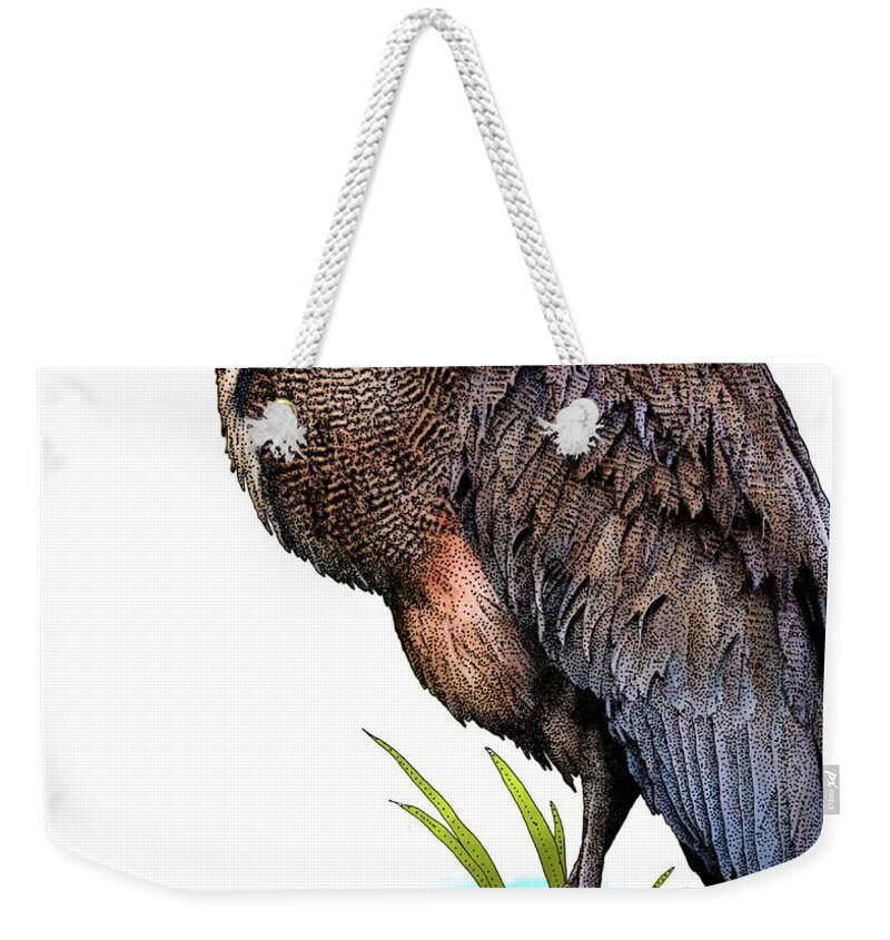 Tigrisoma Mexicanum Weekender Tote Bag featuring the photograph Bare Throated Tiger Heron by Roger Hall