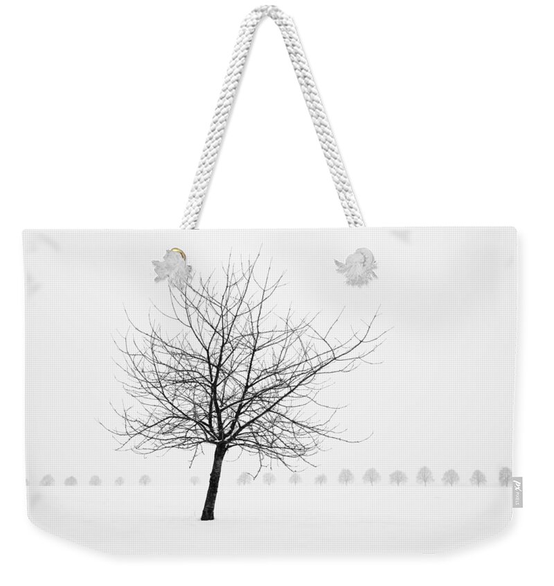 Tree Weekender Tote Bag featuring the photograph Bare tree in winter - wonderful black and white snow scenery by Matthias Hauser
